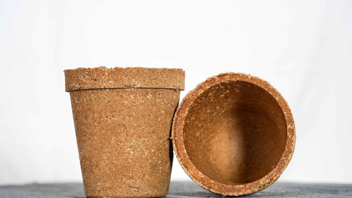 boxpot 2