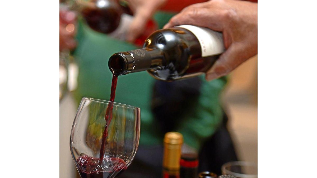 Cata de vinos con denominación de origen de Castilla y León.-ICAL