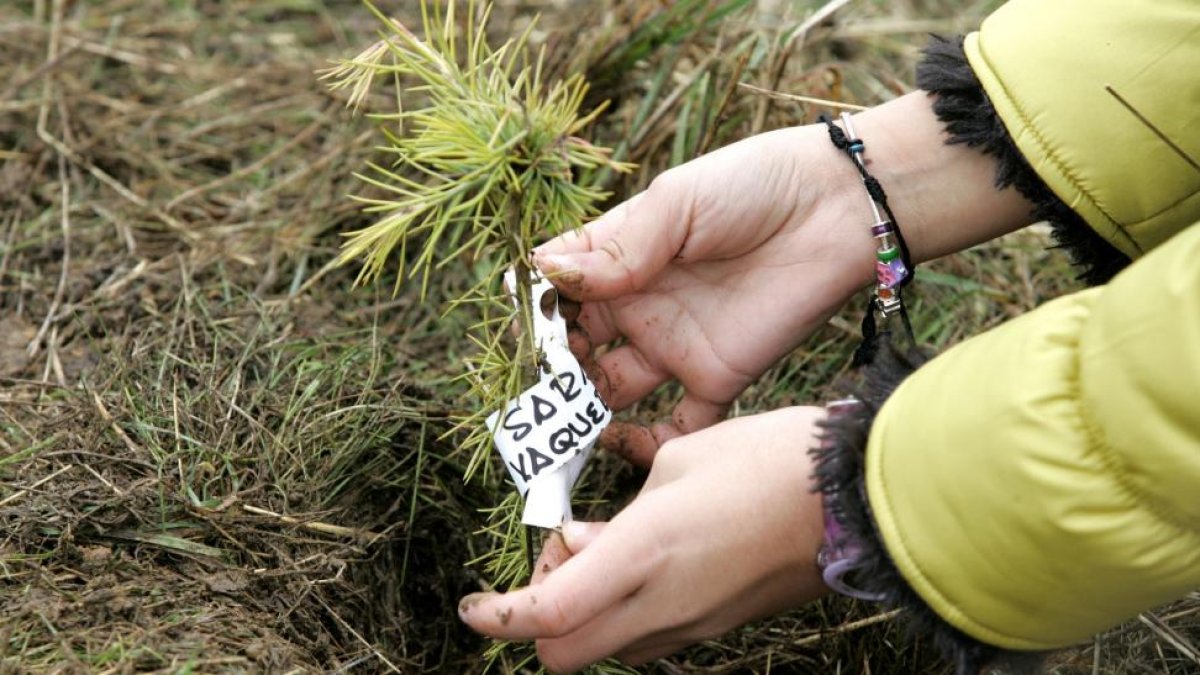 Acto de plantación de árboles con motivo de la jornada de sensibilización medioambiental.-ICAL