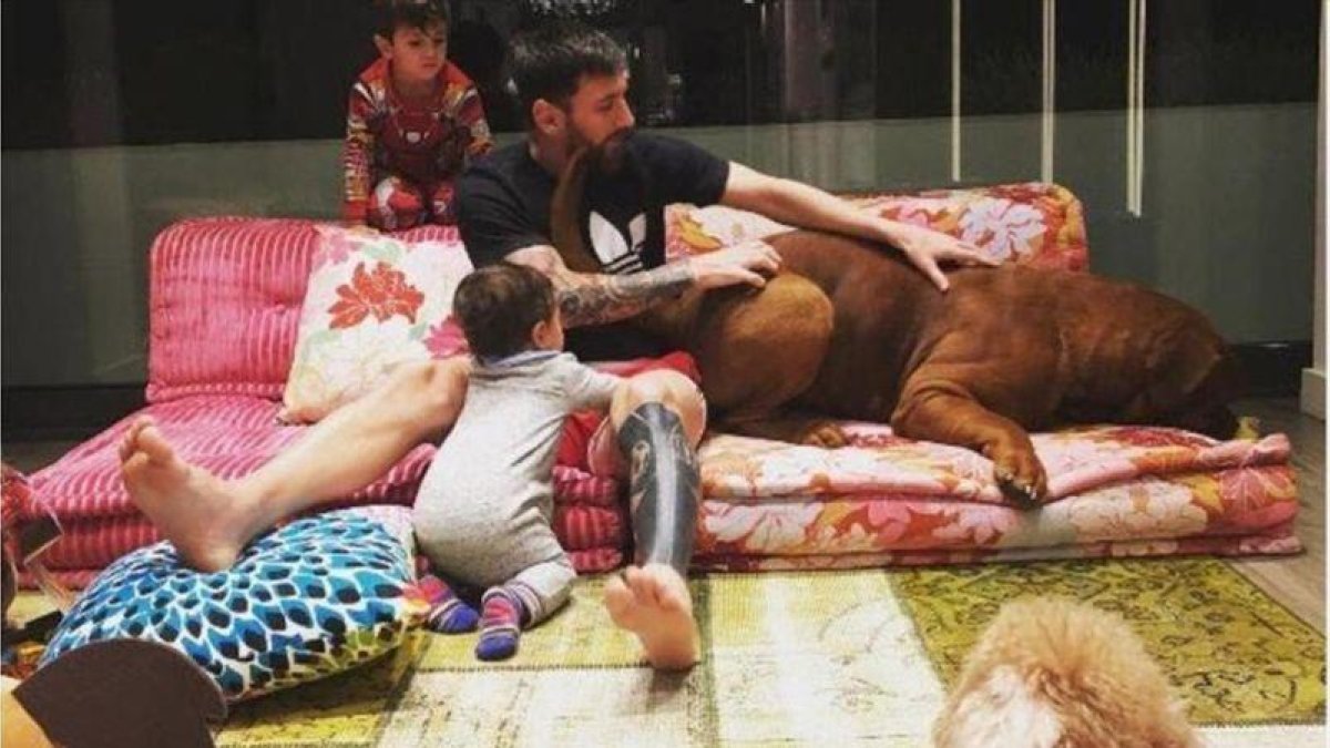 Messi, rodeado de sus hijos y sus perros en casa.-INSTAGRAM