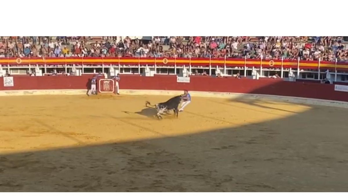 Eusebio Sacristán, 'Use', sufre una embestida en el concurso de cortes de Medina del Campo. -E.M.