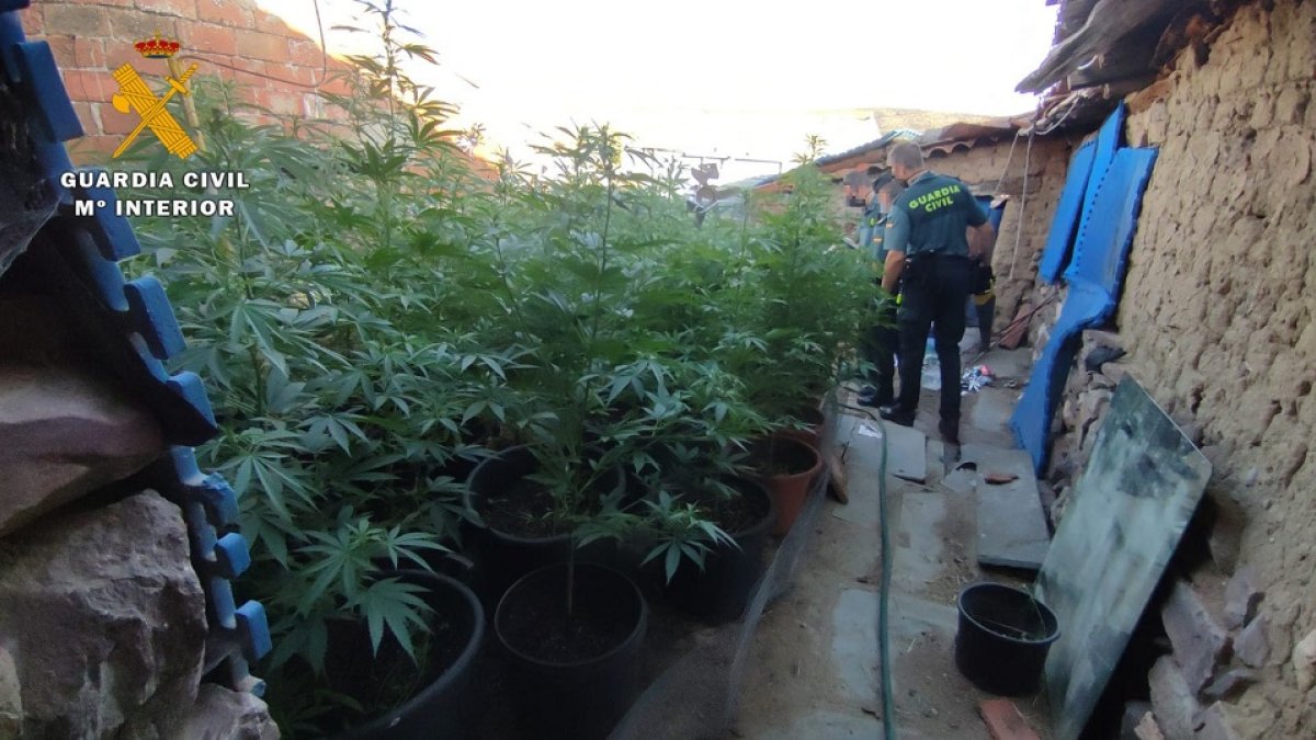 Desmantelado un punto de venta de drogas frente a un colegio de Arroyo (Valladolid). -ICAL