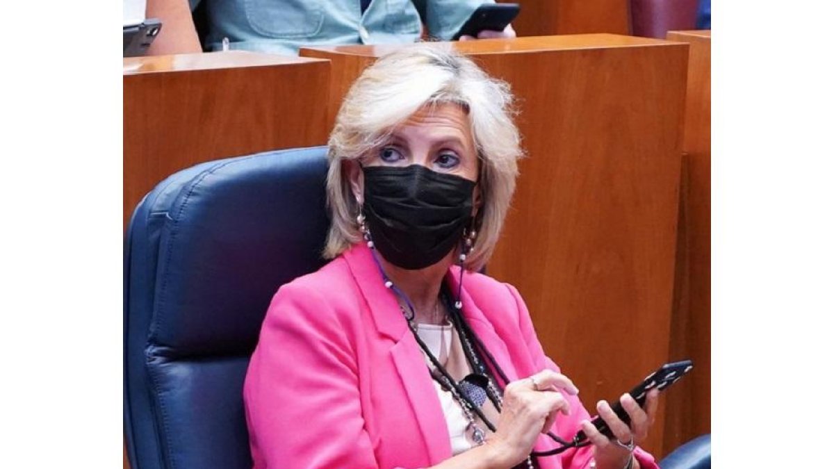 La consejera de Sanidad, Verónica Casado. - ICAL