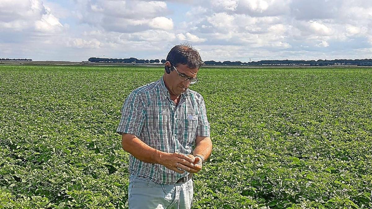 Eduardo Arroyo, presidente de la Asociación de Productores de Patata de Castilla y León, en Fuente el Sol (Valladolid).-E.M.