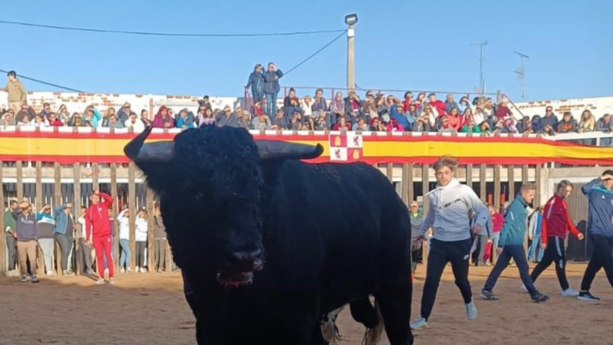Plaza de toros de Traspinedo. E.M.