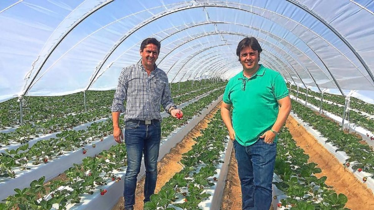 Juan Francisco Báñez, director general de la cooperativa ‘Cuna de Platero’ (a la izquierda), junto a Sergio Sainz, director comercial.-E.M.