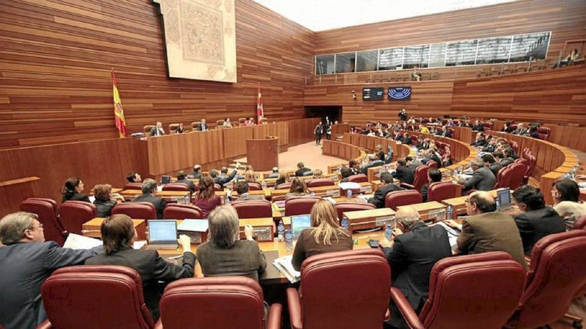 Imagen de un pleno de las Cortes de Castilla y León el pasado mes de diciembre-Carlos Espeso