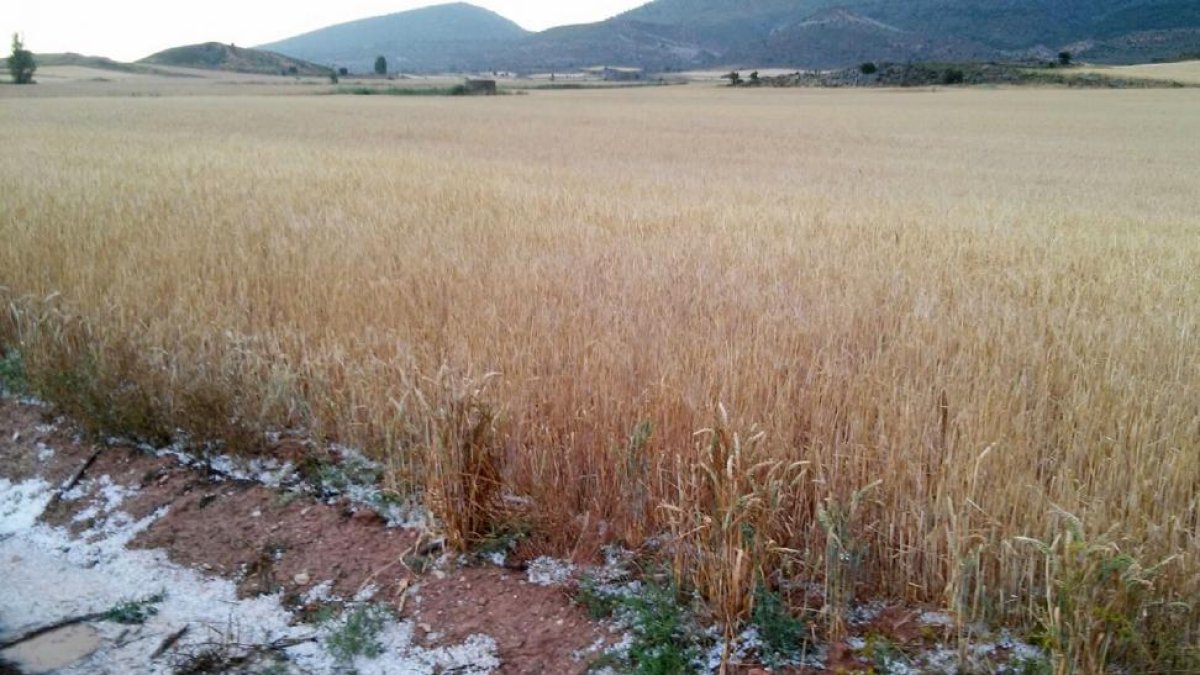 La tormenta llegó de modo inesperado y descargó con extrema crudeza.-M.A.L.B.