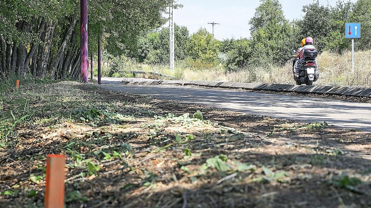 Carretera de un solo carril para entrar a La Overuerla, con su margen desbrozado para empezar las obras.-MIGUEL ÁNGEL SANTOS / PHOTOGENIC