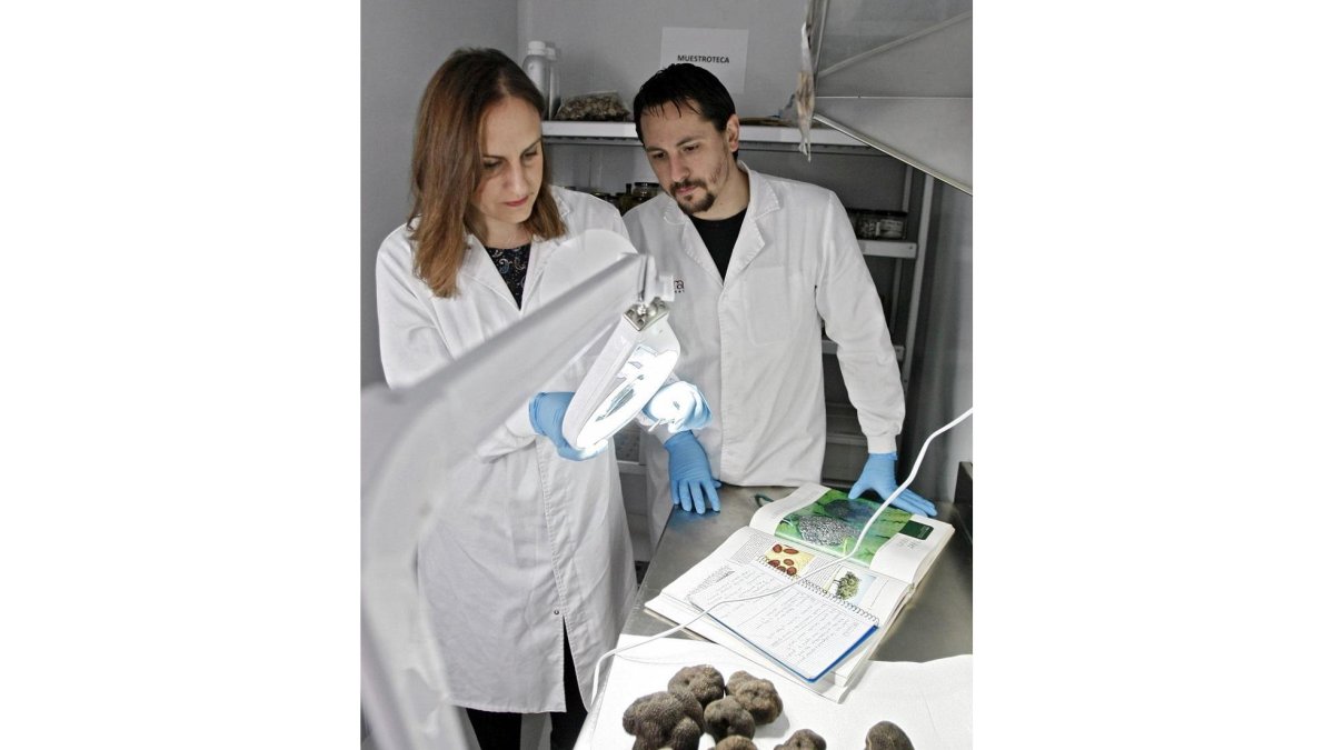 Roberto Antón y Blanca López, en su laboratorio de Espora Gourmet.-MARIO TEJEDOR