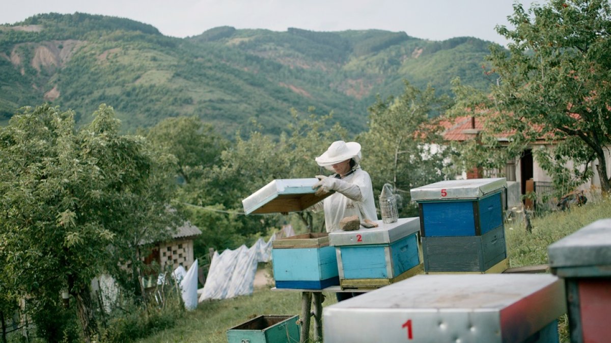 Fotograma del largometraje 'Hive (Colmena)'.- ICAL