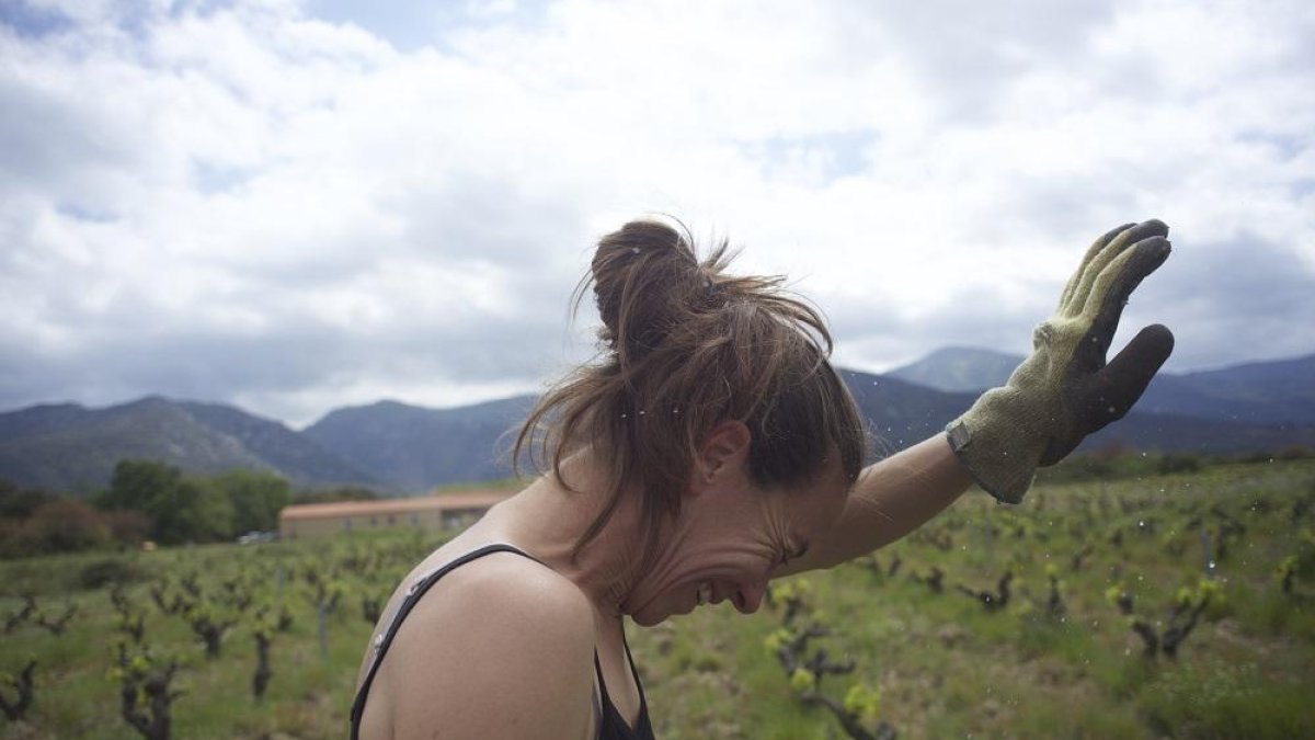 Escena de ‘Wine Calling’, del realizador francés Bruno Sauvard, que se proyectará el viernes, día 26 .-E. M.