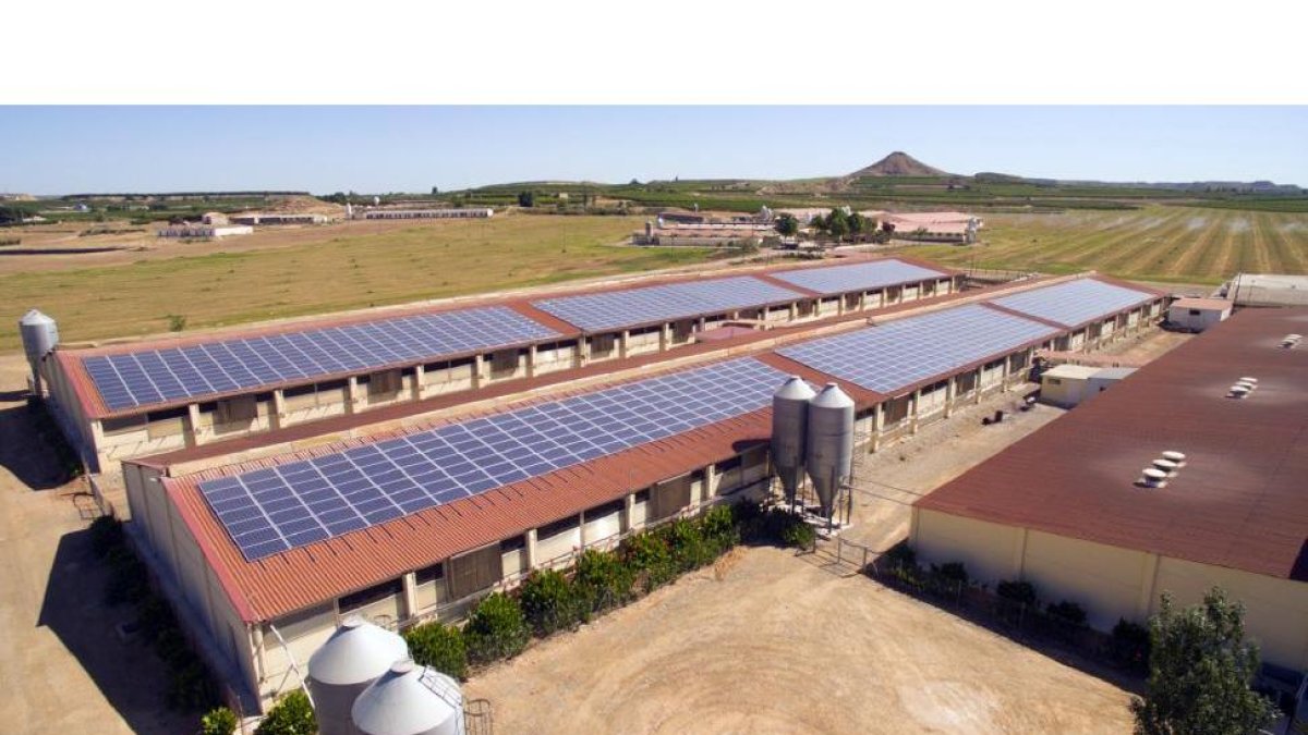 Explotación ganadera con placas fotovoltaicas.-HDS