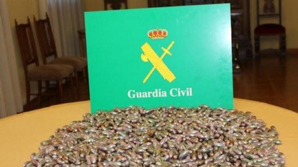 -GUARDIA CIVIL