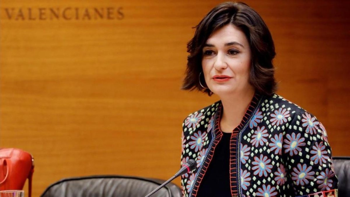 La nueva ministra de Sanidad, Carmen Montón, en una imagen de archivo.-EFE