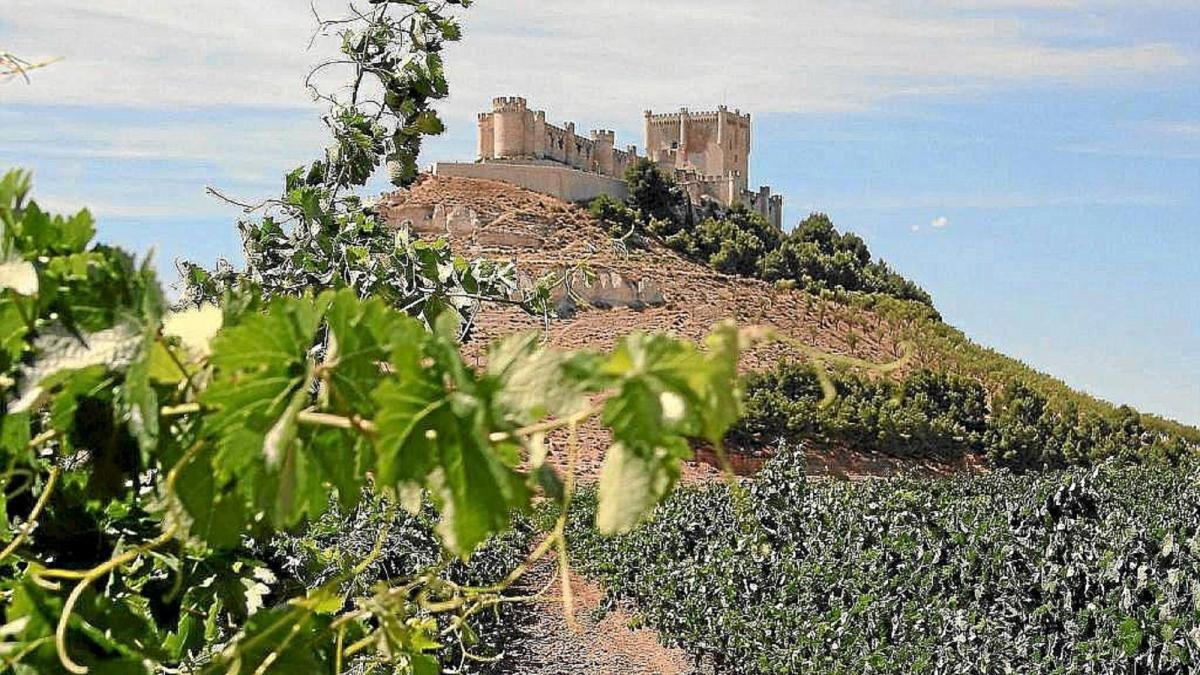 Vista del castillo de Peñafiel que acoge el Museo Provincial del Vino.-EL MUNDO