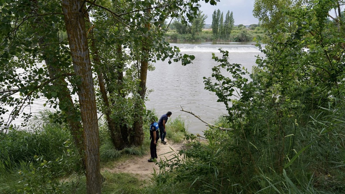 Policía Local de Simancas (Valladolid) y Seprona vigilan la confluencia de los ríos Pisuerga y Duero en busca de un cocodrilo.- ICAL