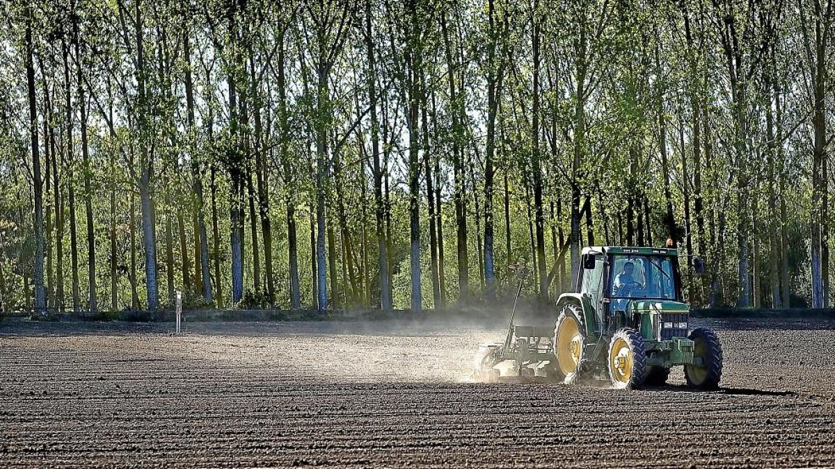 Un agricultor con su tractor en plena labor de arado de un campo de cultivo ubicado en la provincia de Salamanca.-ENRIQUE CARRASCAL