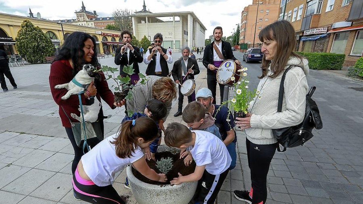 Vecinos colocan varias plantas con el acompañamiento musical de un grupo de dulzaineros.-J. M. LOSTAU