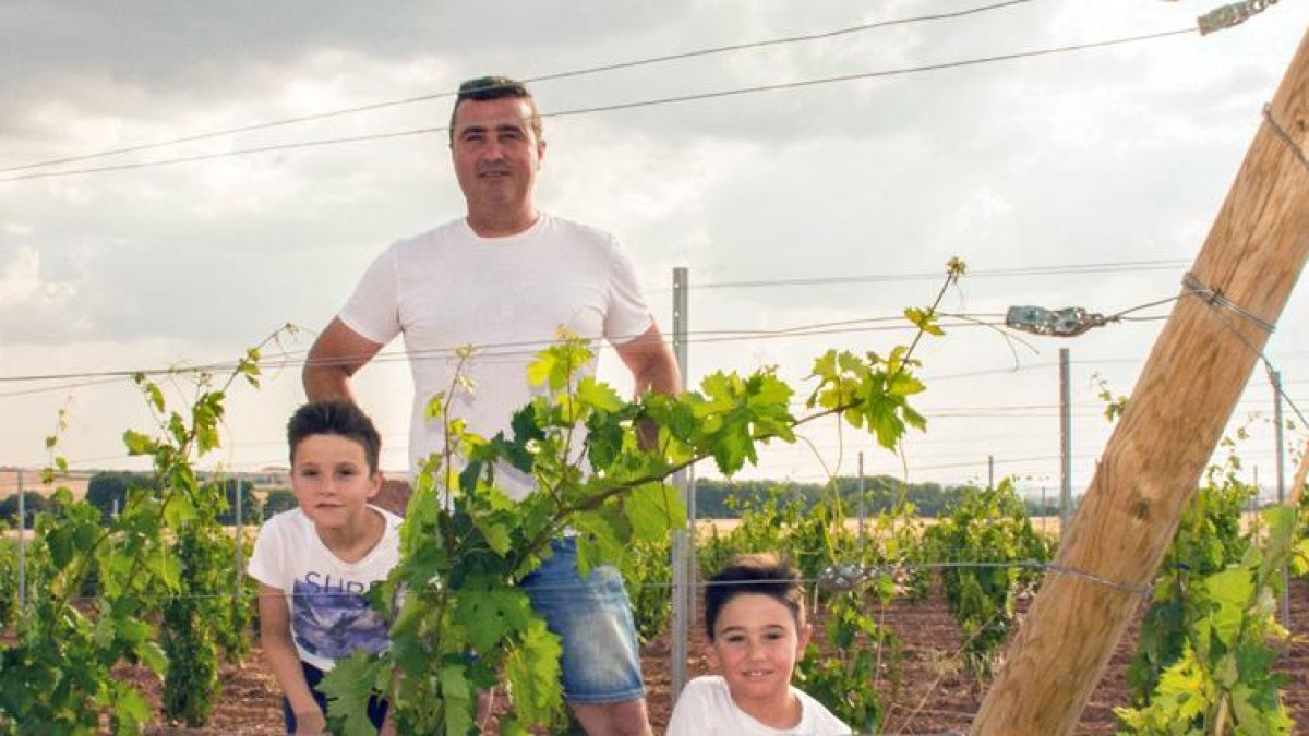 Agustín Postigo con sus hijos en las viñas.-HDS