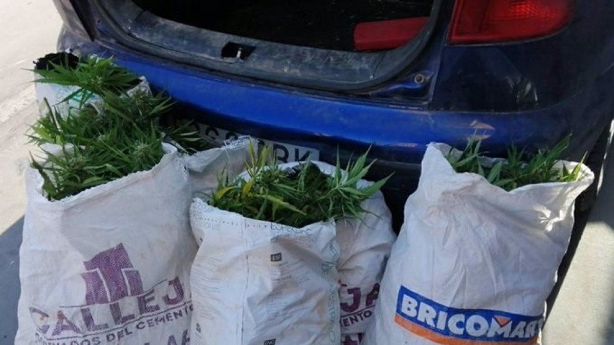 Sacos de marihuana que portaba el individuo en su vehículo. - EUROPA PRESS