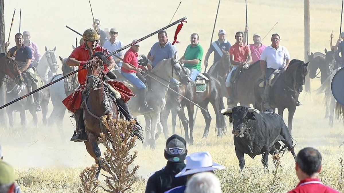 Un caballista trata de reconducir a uno de los toros rezagados en el último encierro campero de las Fiestas Populares de Íscar.-J.M. LOSTAU
