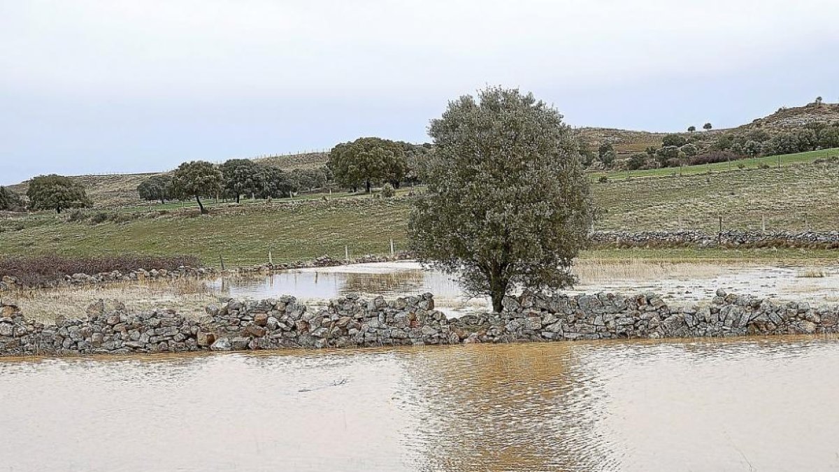 El temporal ‘Gisela’ provoca inundaciones ayer en Tardobispo (Zamora).-ICAL