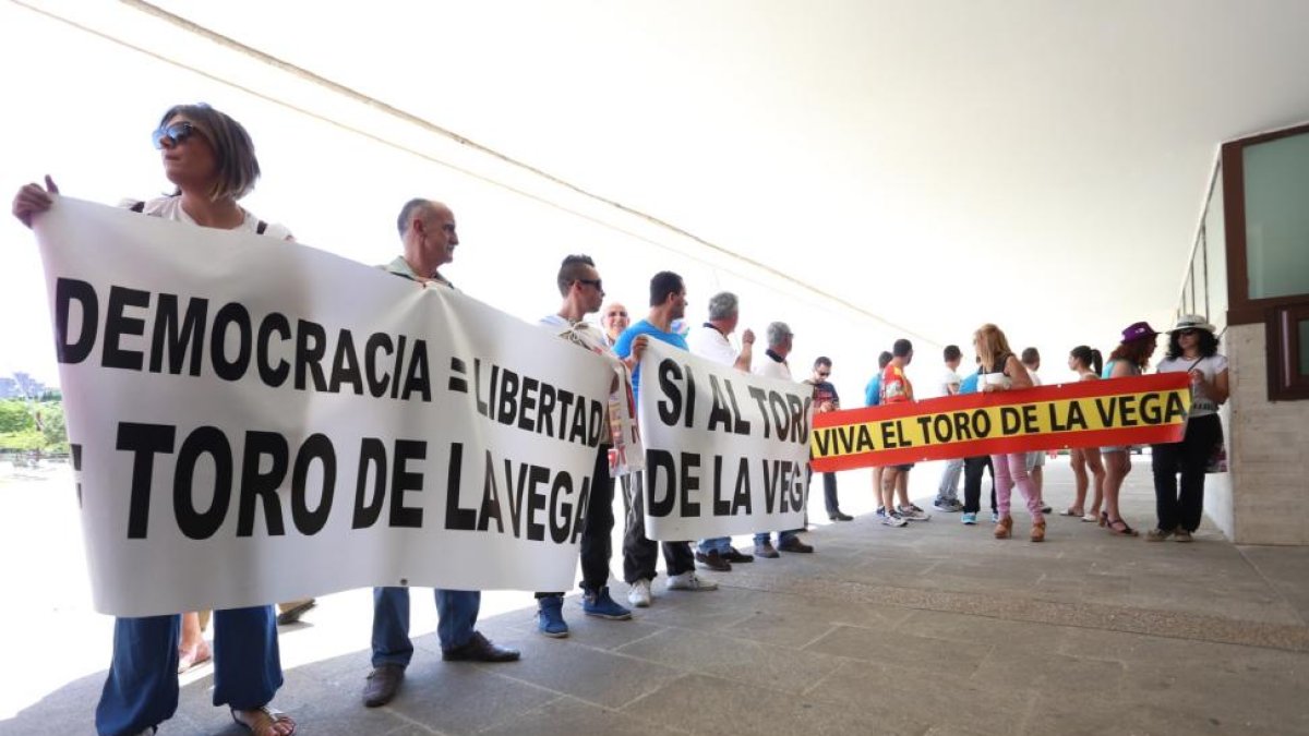 Manifestación a favor del Toro de la Vega en las Cortes de Castilla y León-ICAL