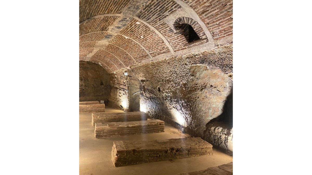 Proyecto ‘Bodega a bodega: Patrimonio subterráneo municipal de La Seca y Nava del Rey’ - E.M.