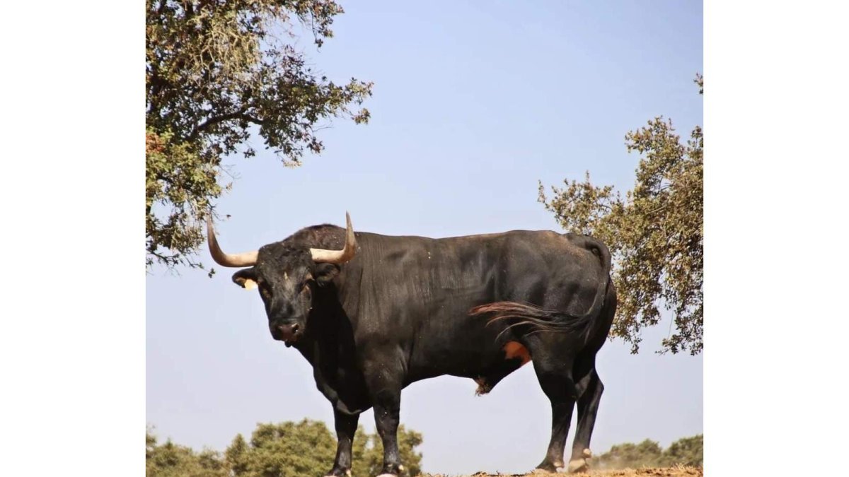 WhatsApp Image 2022-08-16 at 1.21.19 PM