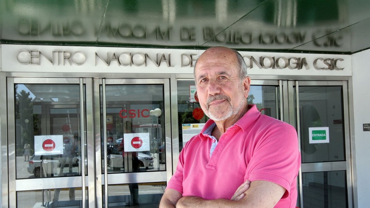 El investigador y viròlogo palentino, Mariano Esteban Rodríguez, miembro del Centro Superior de Investigaciones Científicas. / ICAL