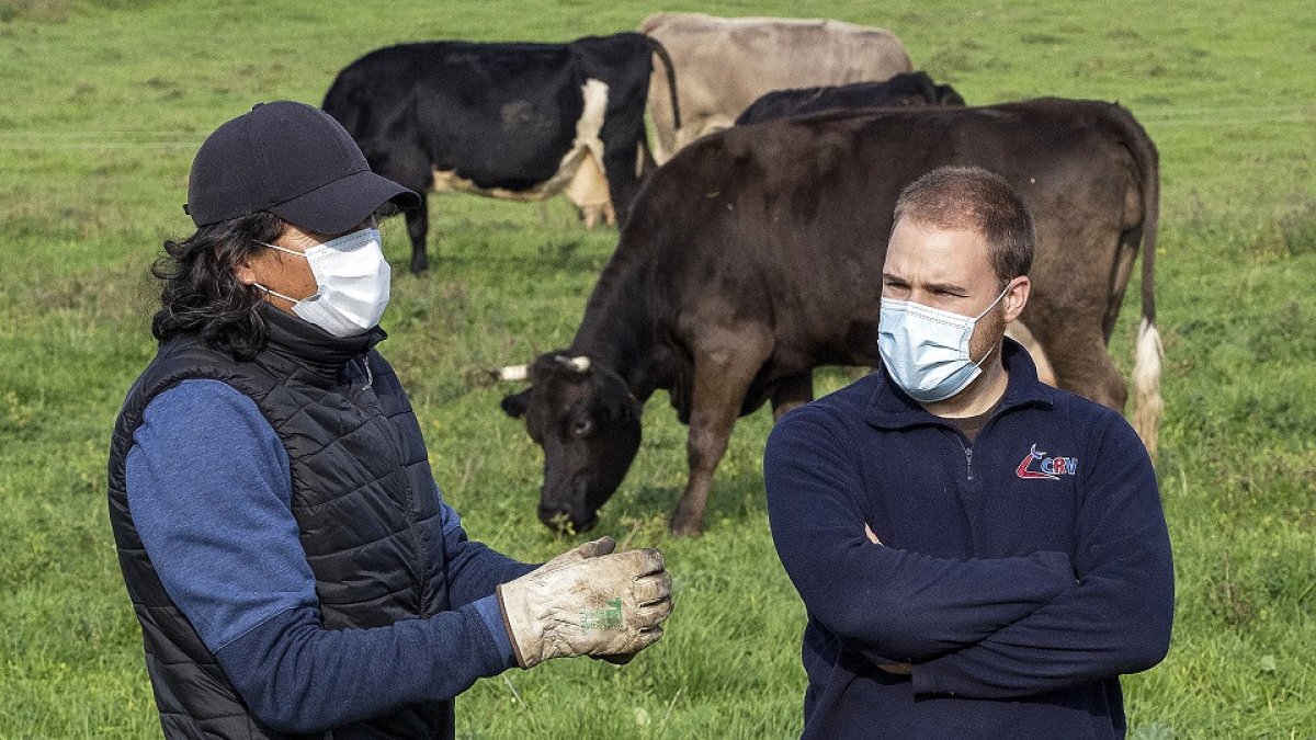 Un trabajador de la Cooperativa Crica (I), enseña al joven ganadero Aitor Zapirain (D). PHOTOGENIC/ MIGUEL ÁNGEL SANTOS