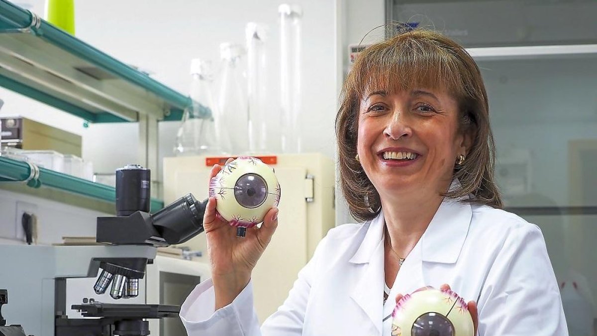 La investigadora Margarita Calonge en las instalaciones del IOBA en Valladolid.-PHOTOGENIC / MIGUEL ÁNGEL SANTOS