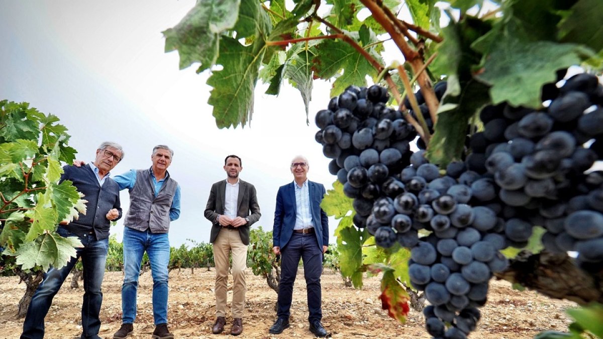 Inauguración de las nuevas instalaciones de Bodega Tresmano. - ICAL