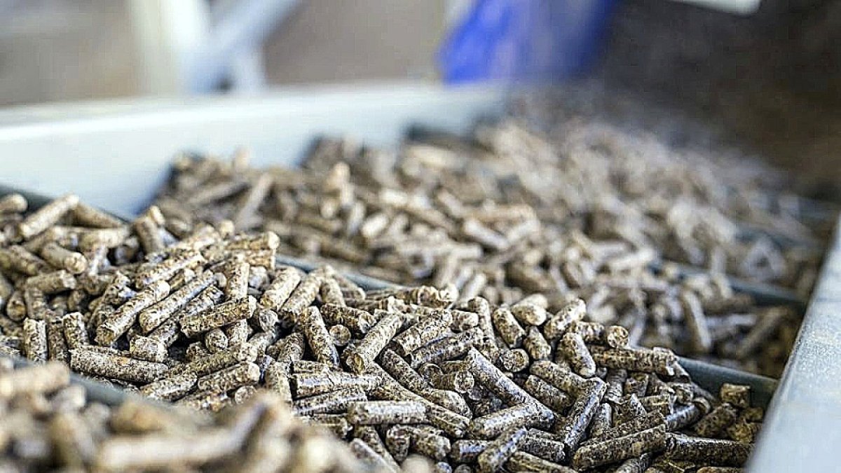 Producción de ‘pellets’ en la provincia de Segovia.  ICAL