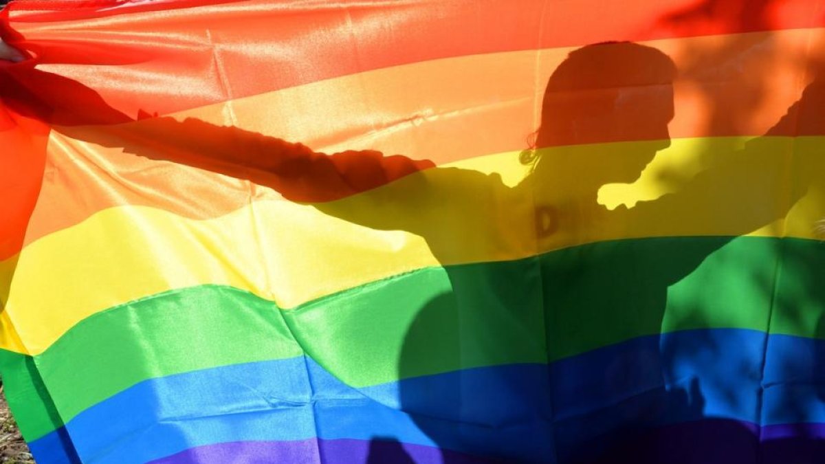 Un manifestante tras la bandera arcoiris en la Gay Parade de Kiev, en el 2013.-SERGEI SUPINSKY