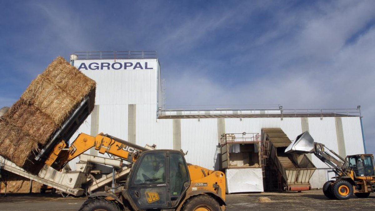 Un operario de una cooperativa castellano y leonesa acumula fardos de alfalfa ya empaquetados para su venta al por mayor.-ICAL