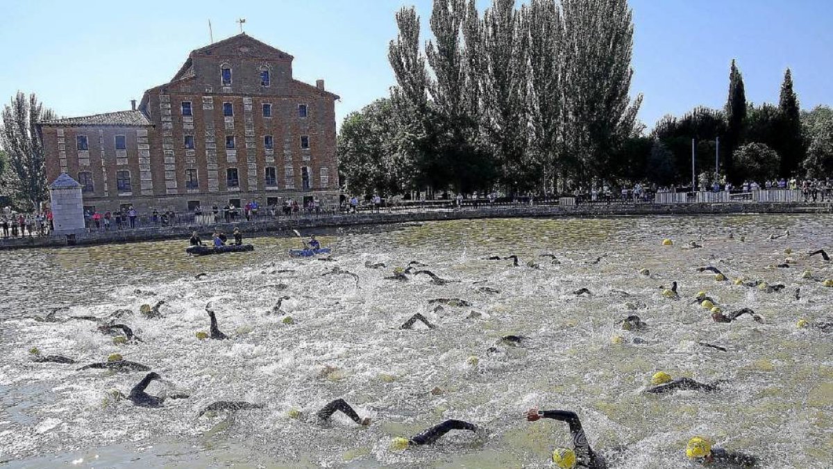 Los triatletas atraviesan el canal en el sector de nado de la prueba de Medina de Rioseco.-Fernando Fradejas