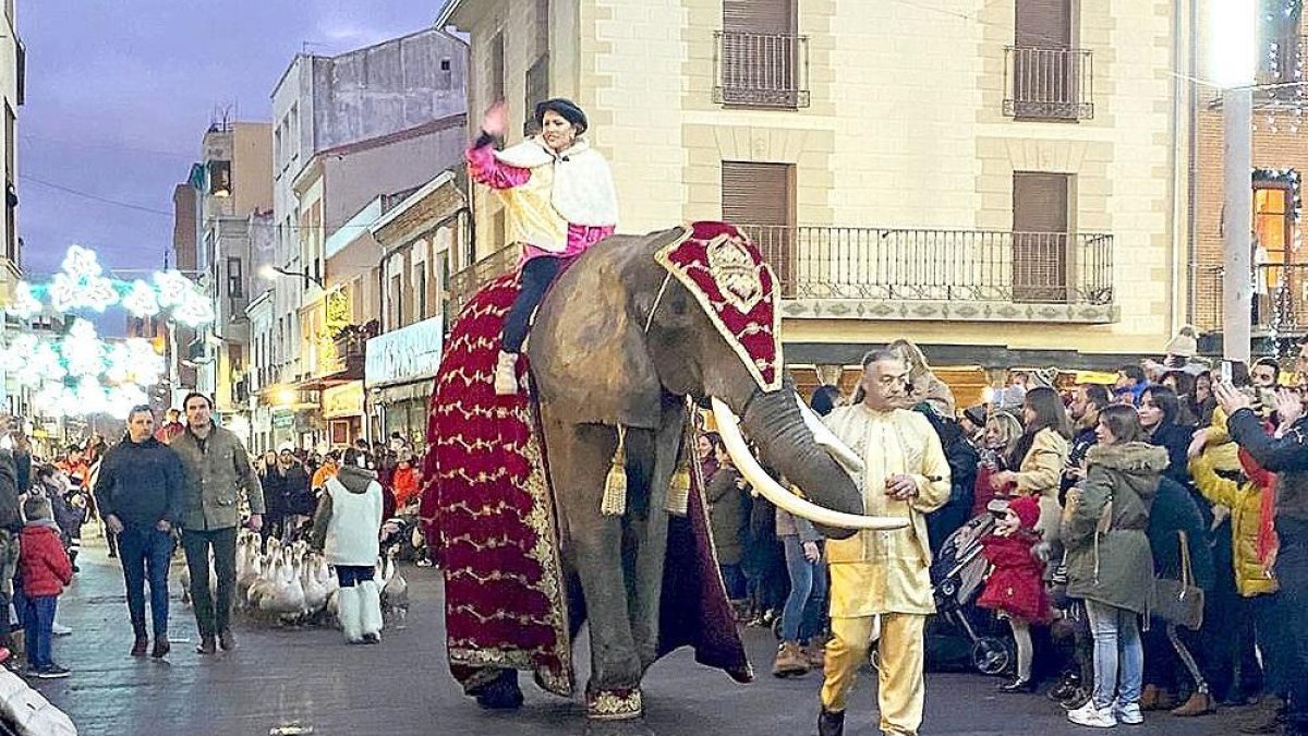 El alcalde de Medina del Campo, Guzmán Gómez (segundo por la izquierda) junto a la elefanta que le arrolló.-EL MUNDO