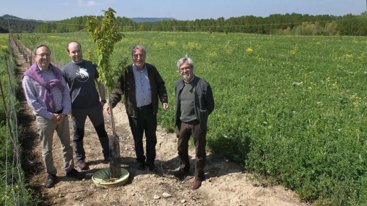 Investigadores de la UVA muestran su técnica en un campo palentino.-M. BRÁGIMO