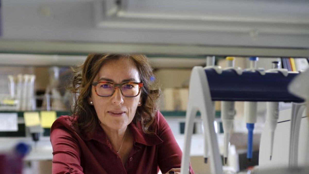 La investigadora Martha Estela Trujillo en las instalaciones de la Universidad de Salamanca-ENRIQUE CARRASCAL