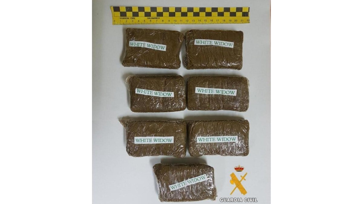 La Guardia Civil incautó 700 gramos de hachís a una joven de 21 años en Salamanca.-EUROPA PRESS