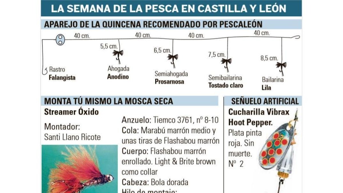 -EL MUNDO DE CASTILLA Y LEÓN