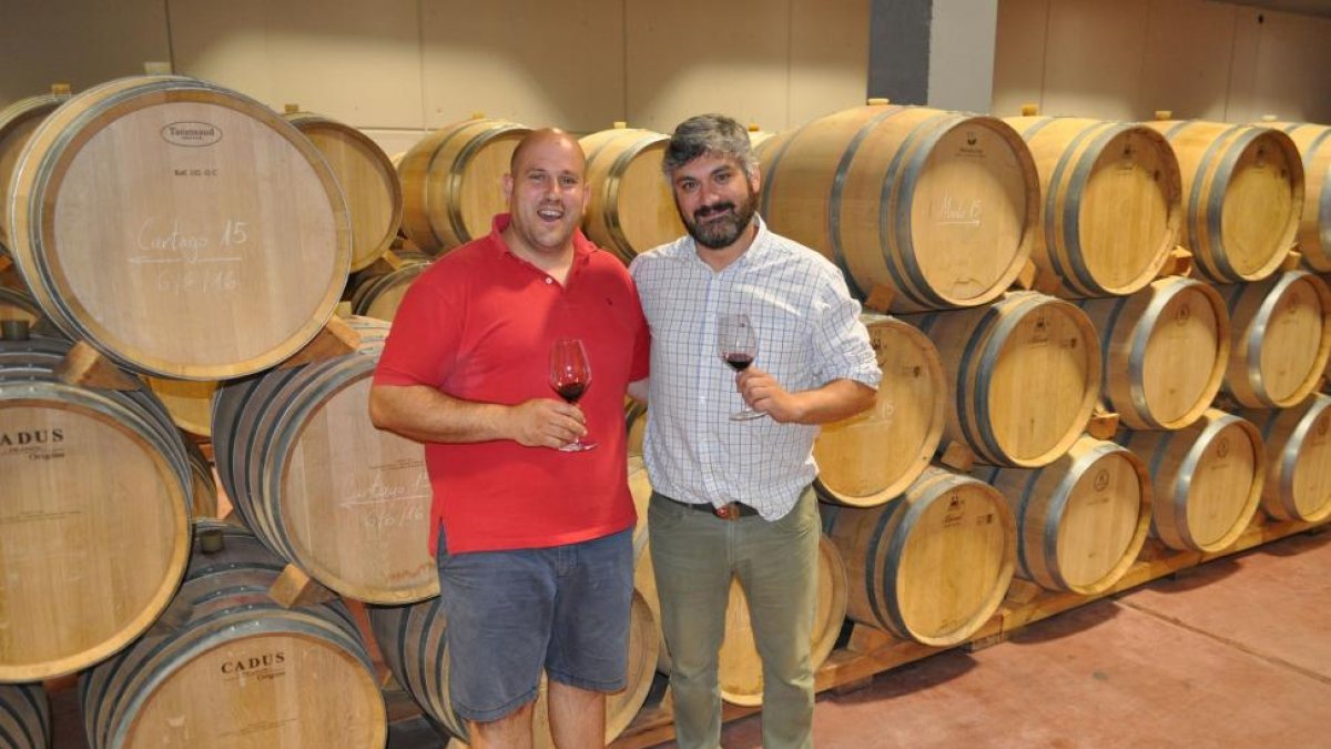 El enólogo de SanRomán, Víctor Fernández (i) y el gerente de la bodega, Juan IgnacioEscudero, en la sala de crianza. En las fotos pequeñas, viñedo y detalles de la elaboradora.-I. M.