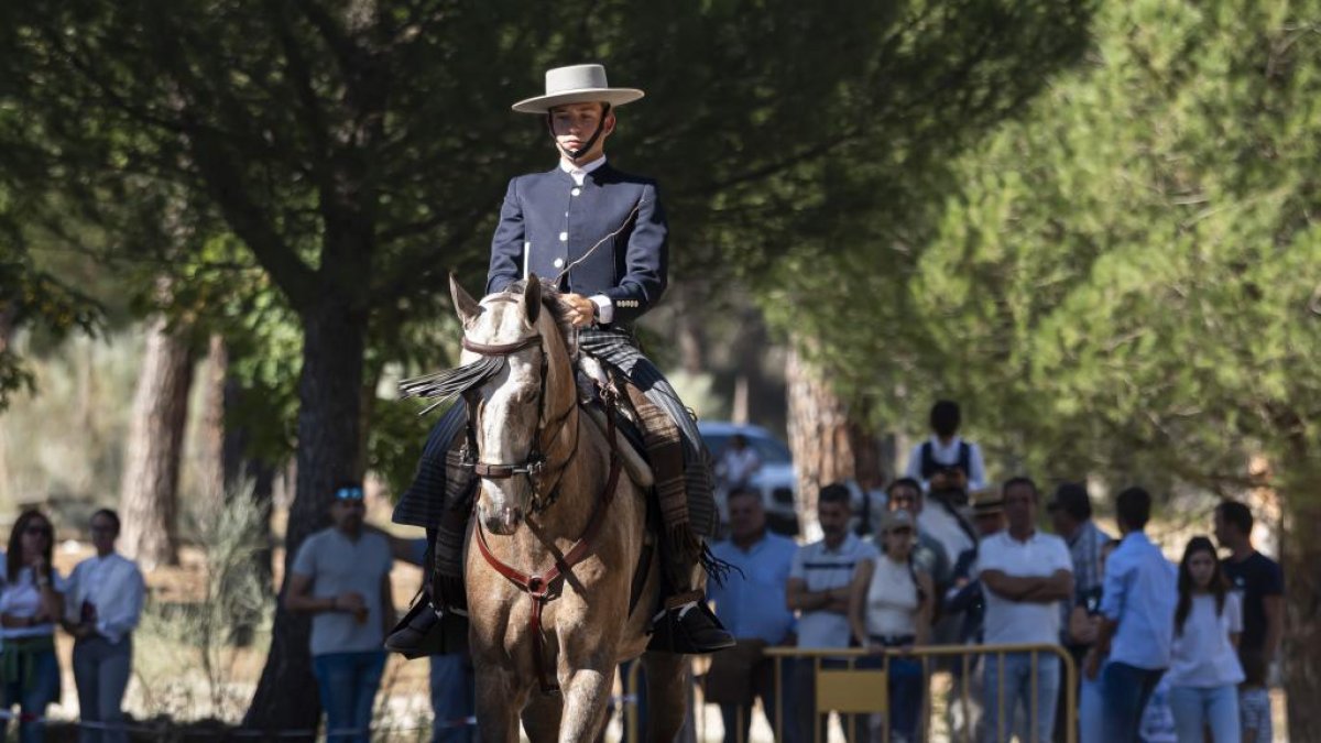 Espectáculo en Pedrajas con la III Copa de Doma Vaquera