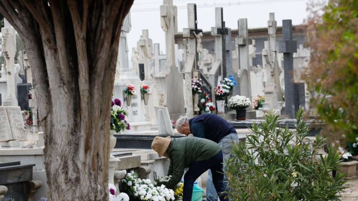 Preparativos para el Día de Todos los Santos en el Cementerio del Carmen. - J. M. LOSTAU