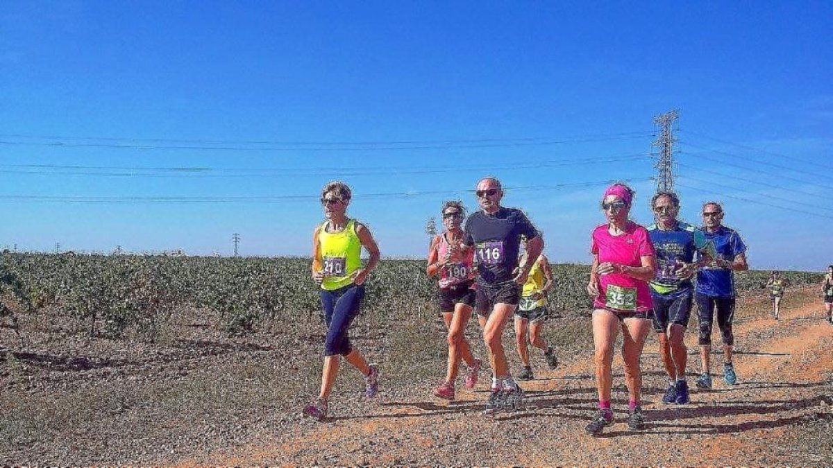 Un grupo de atletas en la carrera de La Seca.-EM
