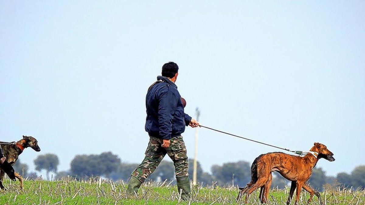 Un cazador tordesillano, en el control, durante el provincial de caza de Valladolid 2015.-L.FUENTE