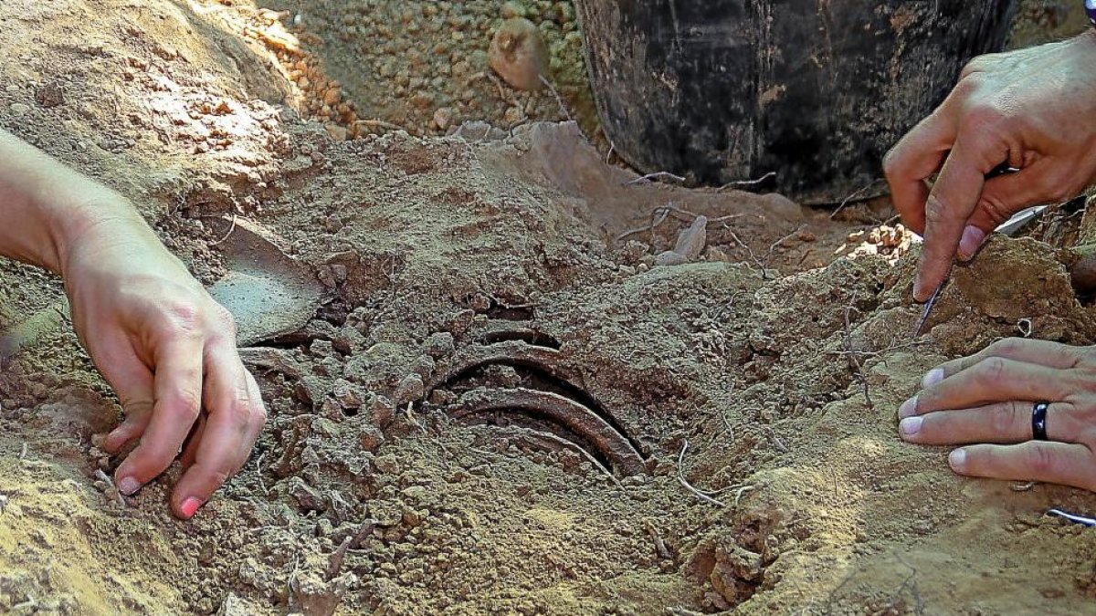 Excavación de una de las fosas llevada a cabo por la Asociación para la Recuperación de la Memoria Histórica.-ICAL