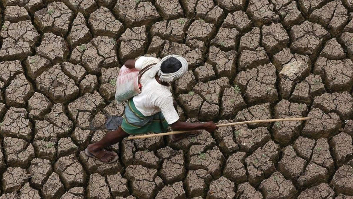 Sequía en la India-AP / MUSTAFA QURAISHI